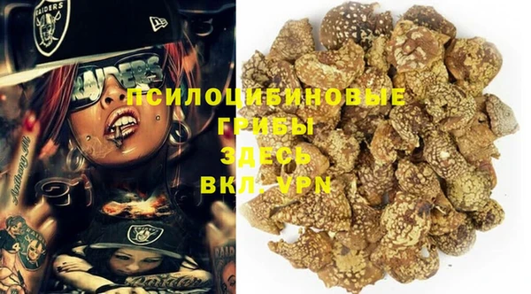 PSILOCYBIN Алексеевка