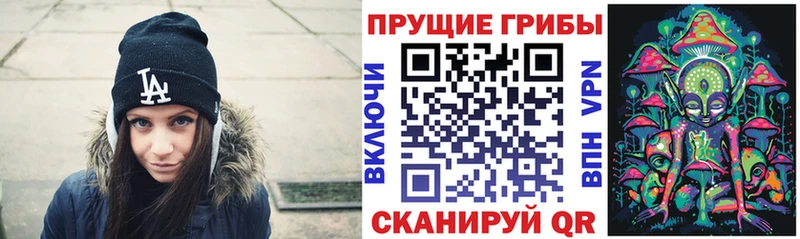 Галлюциногенные грибы прущие грибы  где продают   Безенчук 